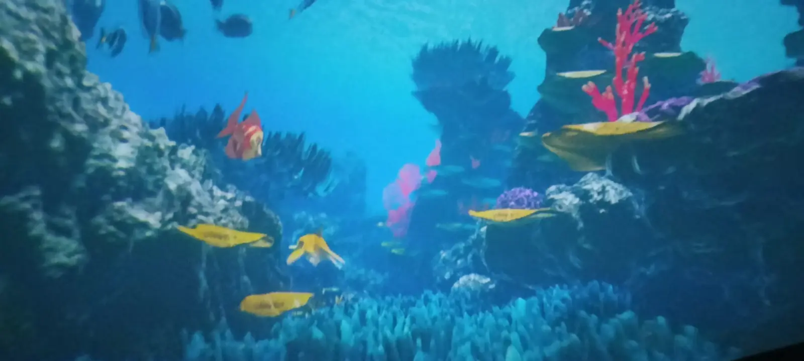 Il fondo del mare proiettato sulla cupola
